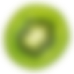 https://aseertimecanton.com/wp-content/uploads/2017/05/kiwi.png